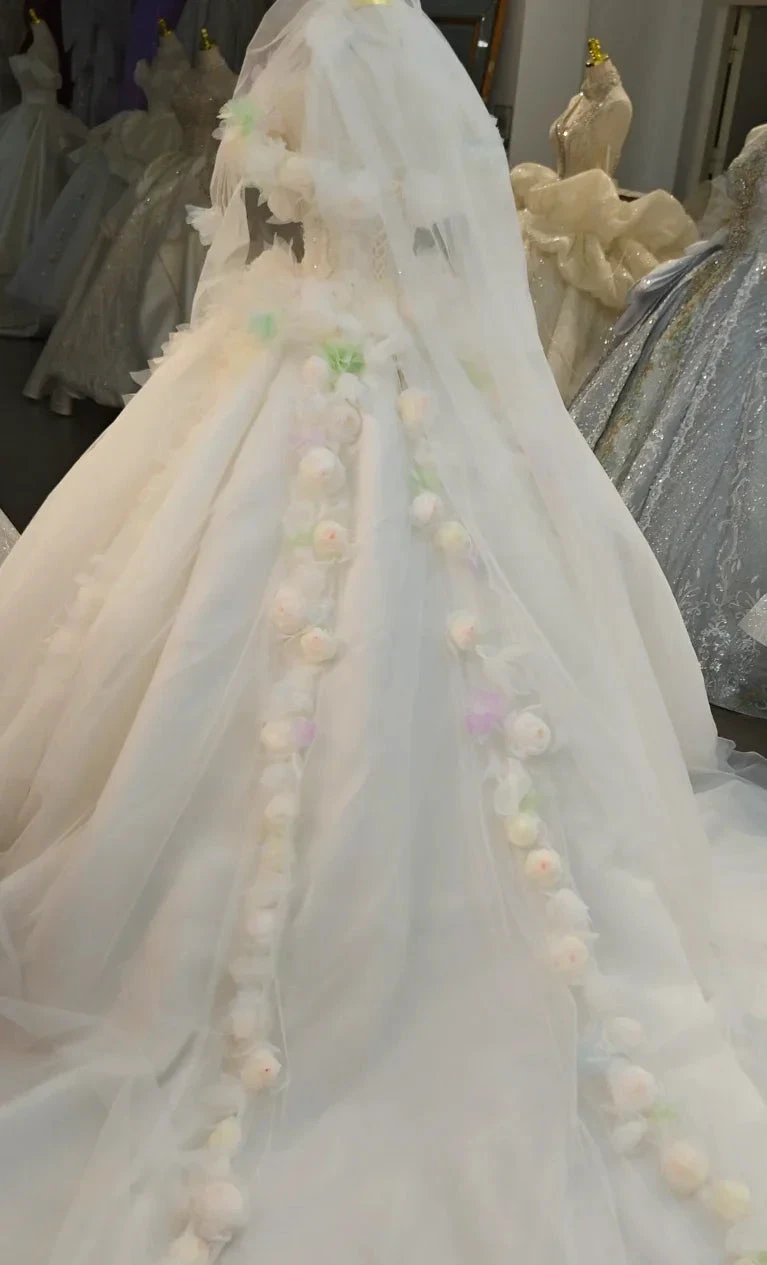 Whimsical Sweetheart Ball Gown Wedding Dress with 3D Pastel Florals & Sheer Tulle Train Ye-2039 (ZD16831)