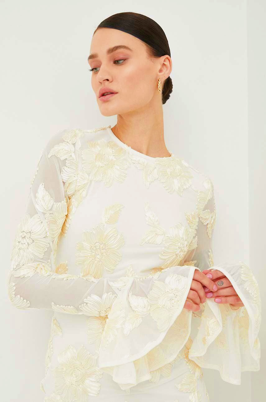 Norma Chic Backless Embroidered Mesh Mini Dress Silhouette Collection
