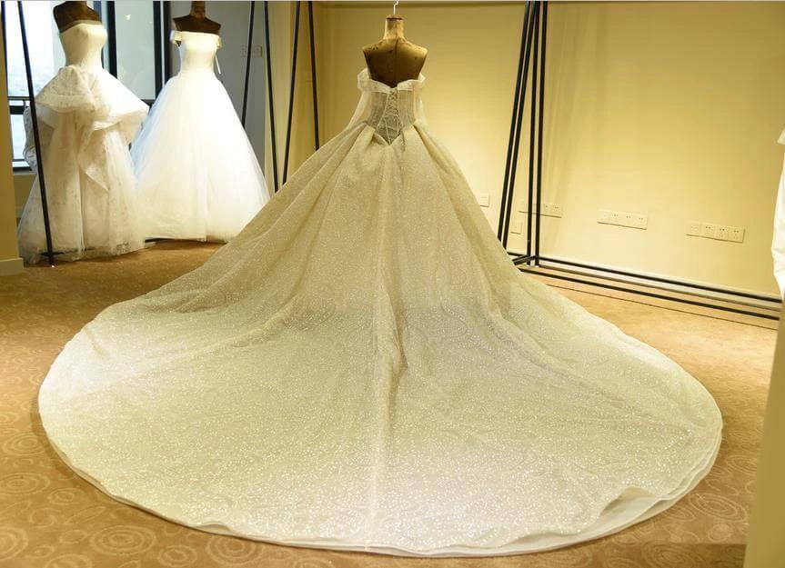 Elegant Long Sleeve Sweetheart Lace-up Ivory Tulle Ball Gown Wedding Dress (ZD14772)