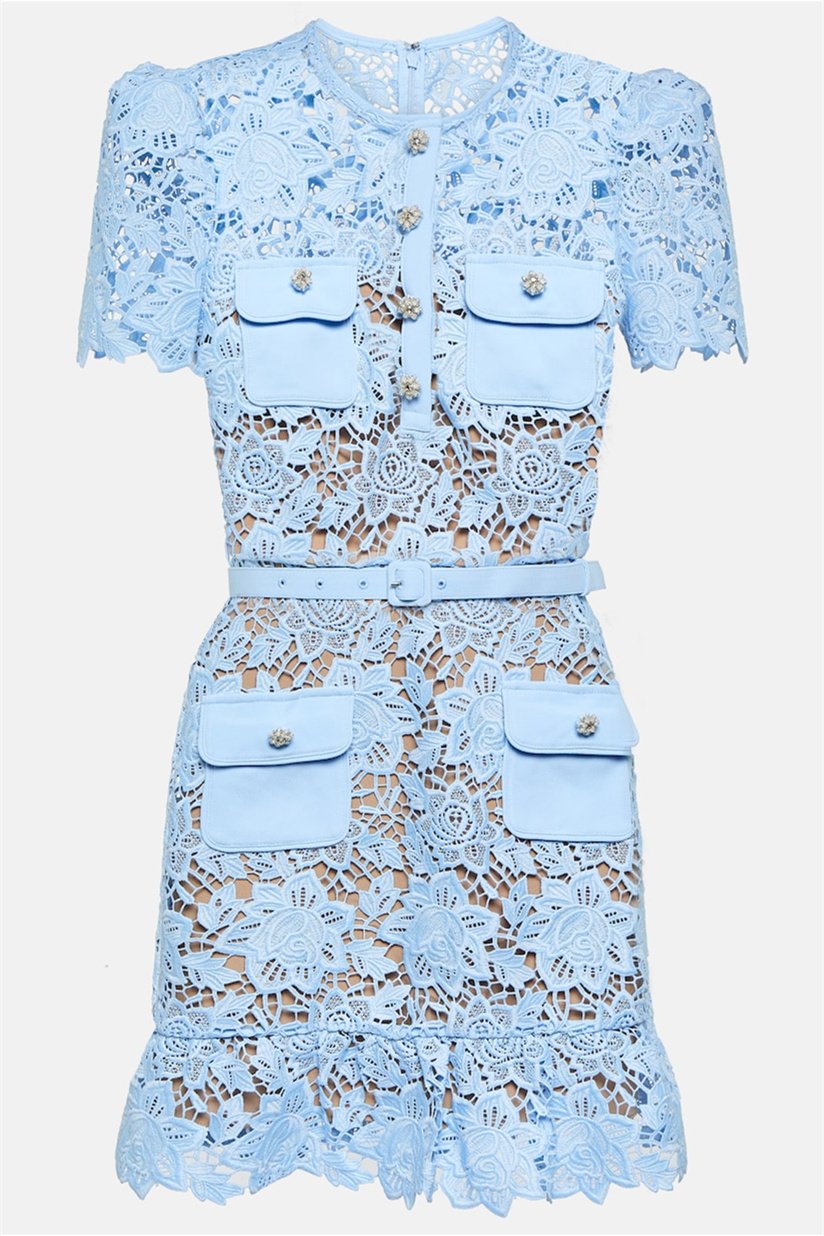 Noelia Aesthetic Lace Mini Dress with Floral Embroidery Statement Occasion Edit