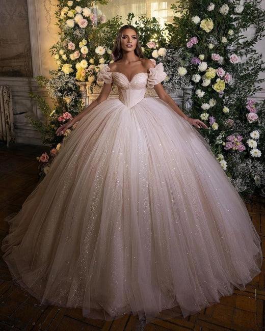 Princess Luxury Wedding Dresses Glitter with Lace (ZD16435)